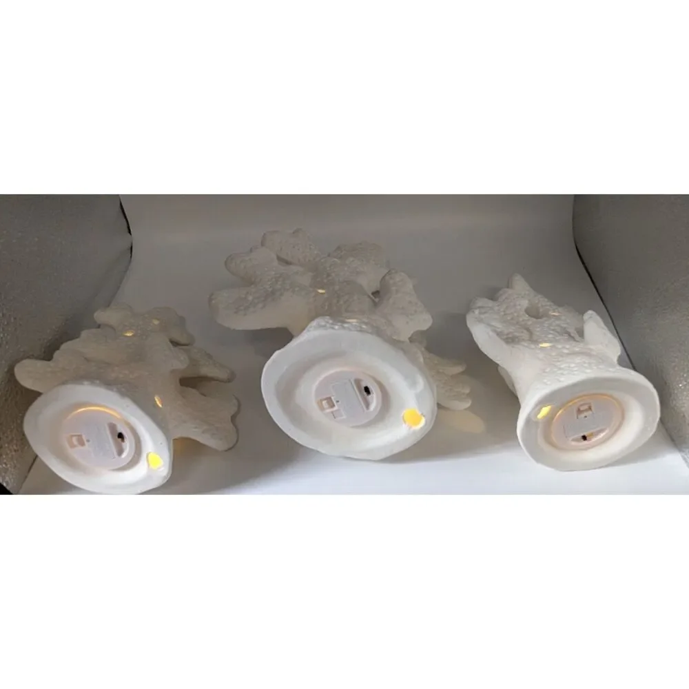 Valerie Parr Hill 3pc Illuminated Porcelain Coral Set White Coastal Decor NOB